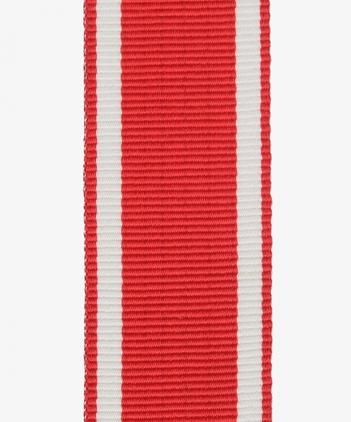 Hesse-Darmstadt, Field Service Badge, War Welfare Medal (233)